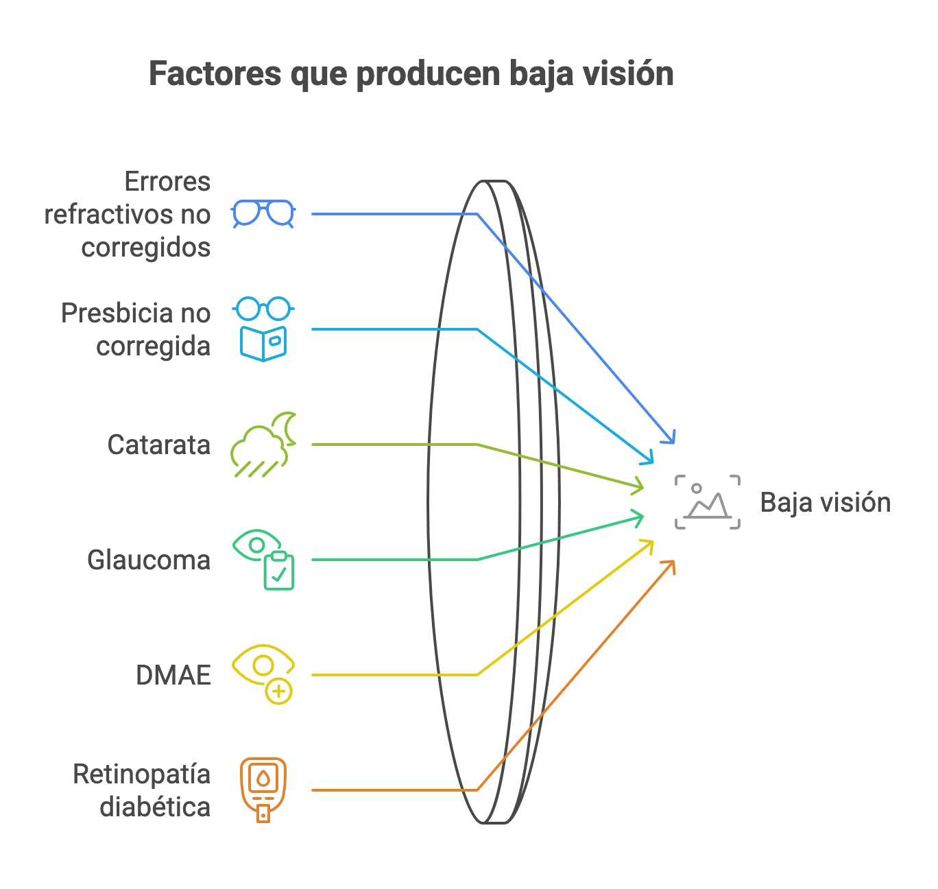Gráfica enumerando los factores que producen baja visión, incluyendo: errores refractivos no corregidos, presbicia no corregida, catarata, glaucoma, DMAE y retinopatía diabética.